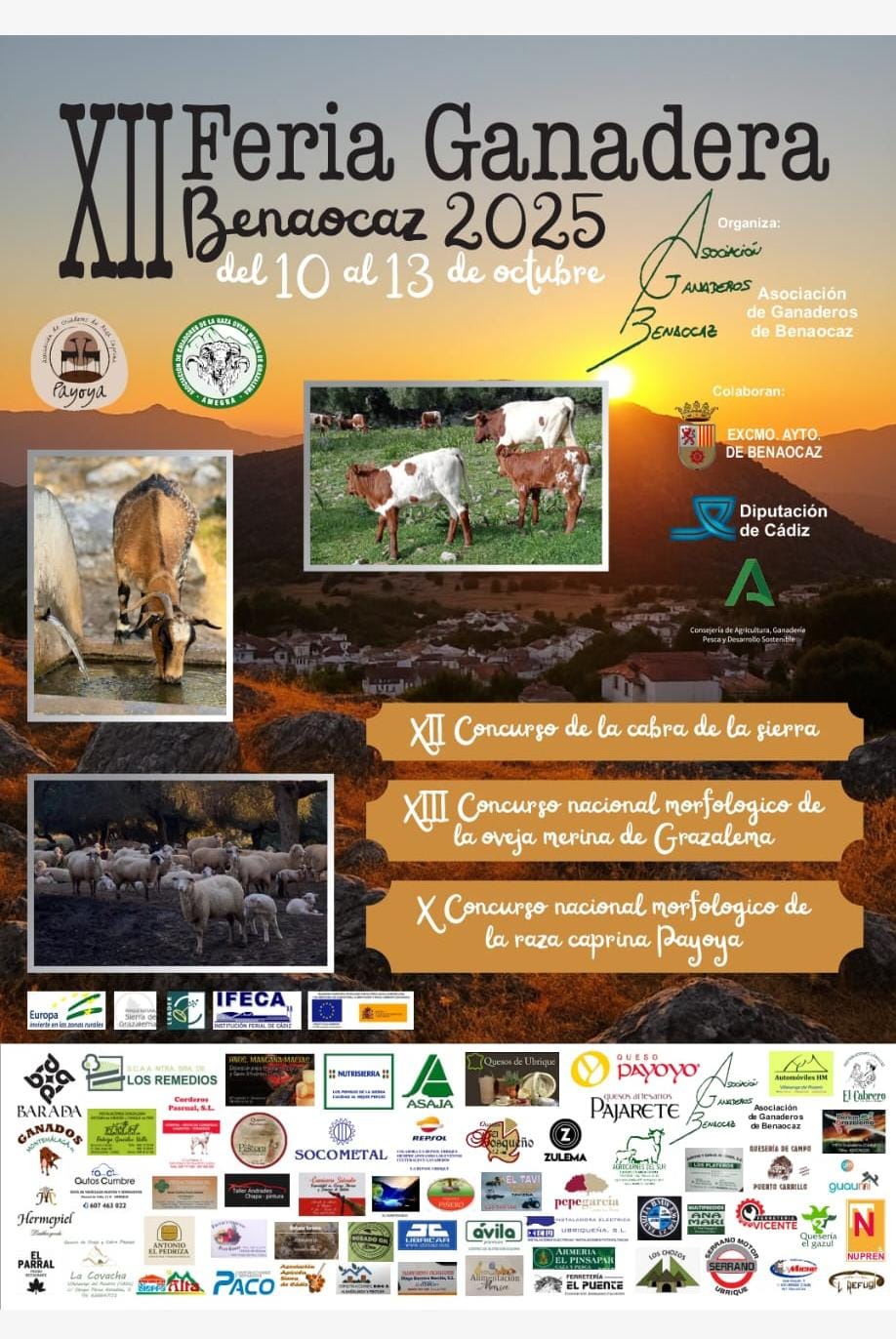 WhatsApp Image 2025 10 06 at 11.41.20