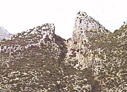 saltocabrero
