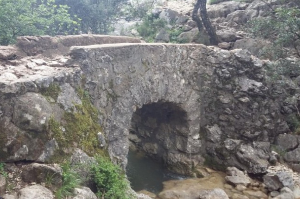 Pajaruco 1